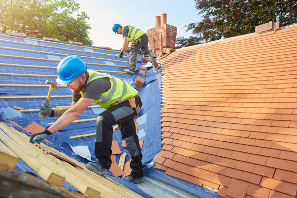 Best Storm Damage Roof Repair  in Colonial Beach, VA